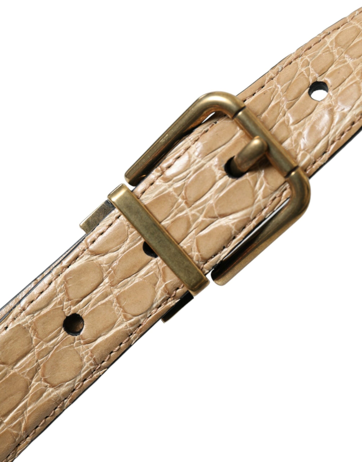 Beige Exotic Leather Gold Metal Buckle Belt-Dolce & Gabbana-LabelTerrace.com