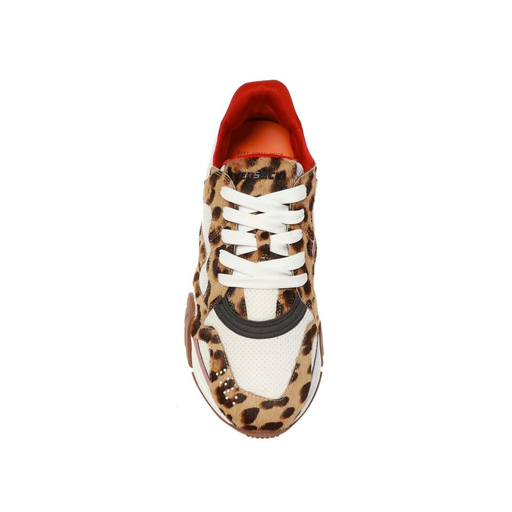 Squalo Leopard Sneakers-Versace-LabelTerrace.com