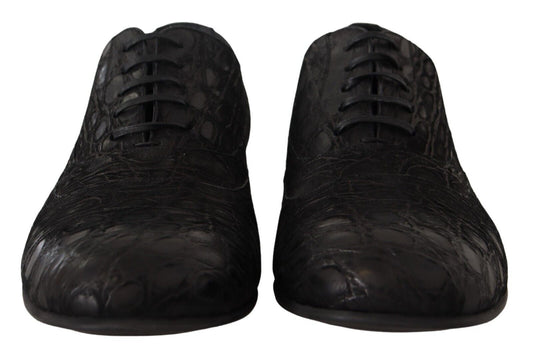 Black Caiman Leather Mens Oxford Shoes-Dolce & Gabbana-LabelTerrace.com