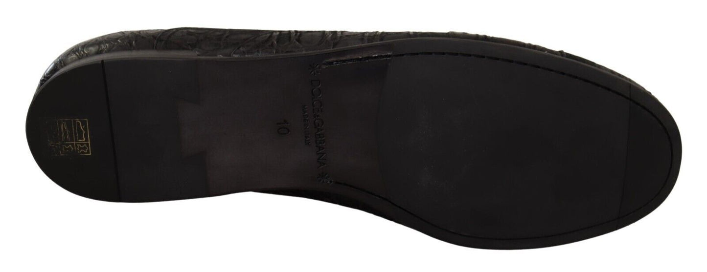 Black Caiman Leather Mens Oxford Shoes-Dolce & Gabbana-LabelTerrace.com