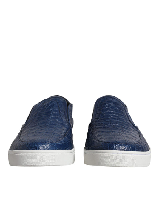Blue Croc Exotic Leather Men Sneakers Shoes-Dolce & Gabbana-LabelTerrace.com