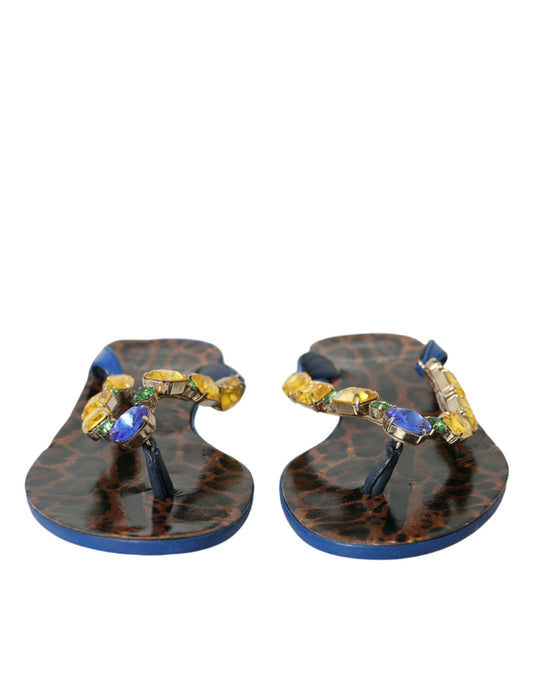 Blue Crystal Calf Leather Beachwear Shoes-Dolce & Gabbana-LabelTerrace.com