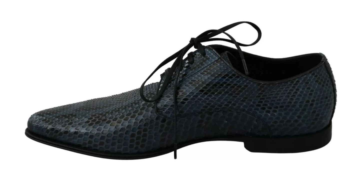 Blue Python Leather Snakeskin Shoes-Dolce & Gabbana-LabelTerrace.com
