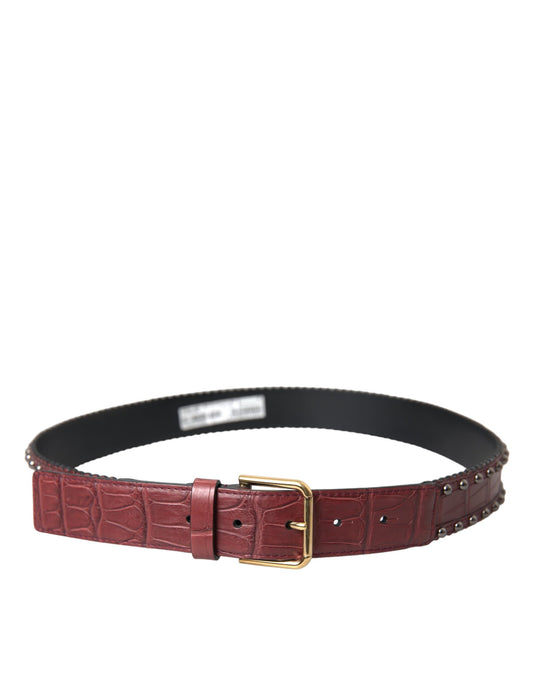 Brown Alligator Leather Studded Metal Buckle Belt-Dolce & Gabbana-LabelTerrace.com