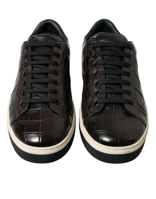 Brown Croc Exotic Leather Men Casual Sneakers Shoes-Dolce & Gabbana-LabelTerrace.com