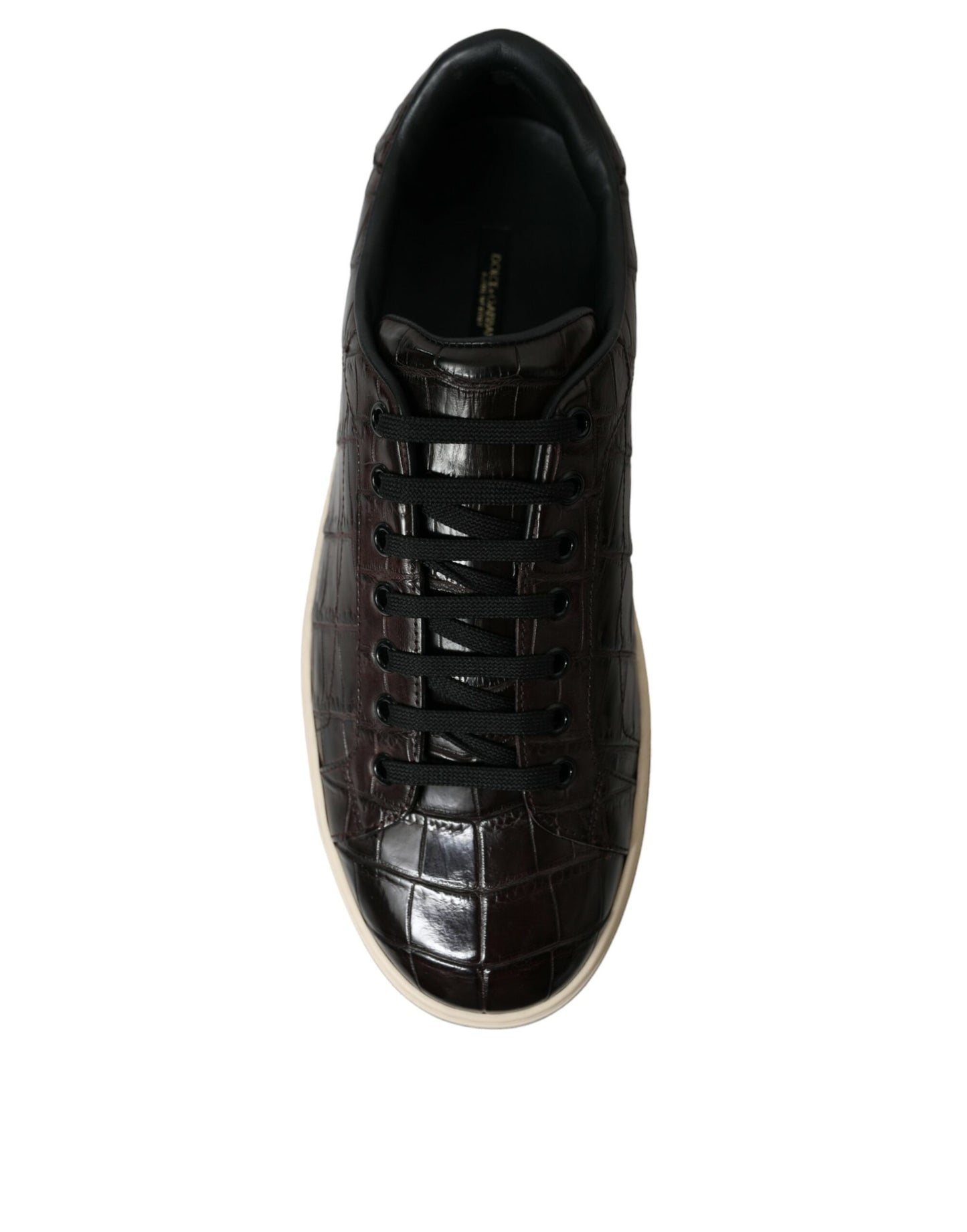 Brown Croc Exotic Leather Men Casual Sneakers Shoes-Dolce & Gabbana-LabelTerrace.com