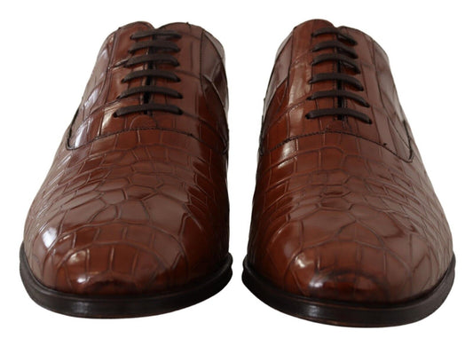 Brown Crocodile Leather Mens Formal Derby Shoes-Dolce & Gabbana-LabelTerrace.com