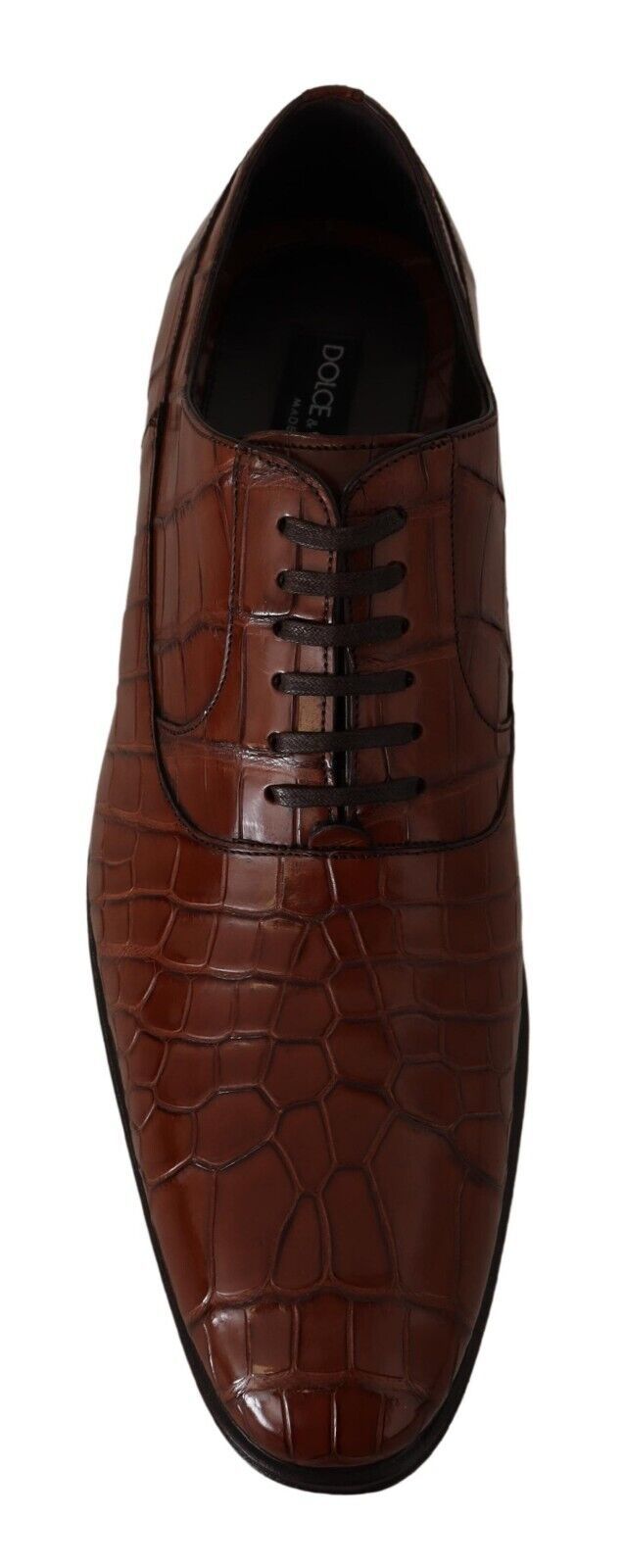 Brown Crocodile Leather Mens Formal Derby Shoes-Dolce & Gabbana-LabelTerrace.com