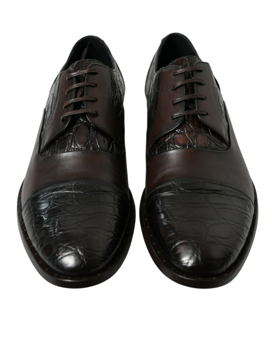 Brown Exotic Leather Formal Men Dress Shoes-Dolce & Gabbana-LabelTerrace.com