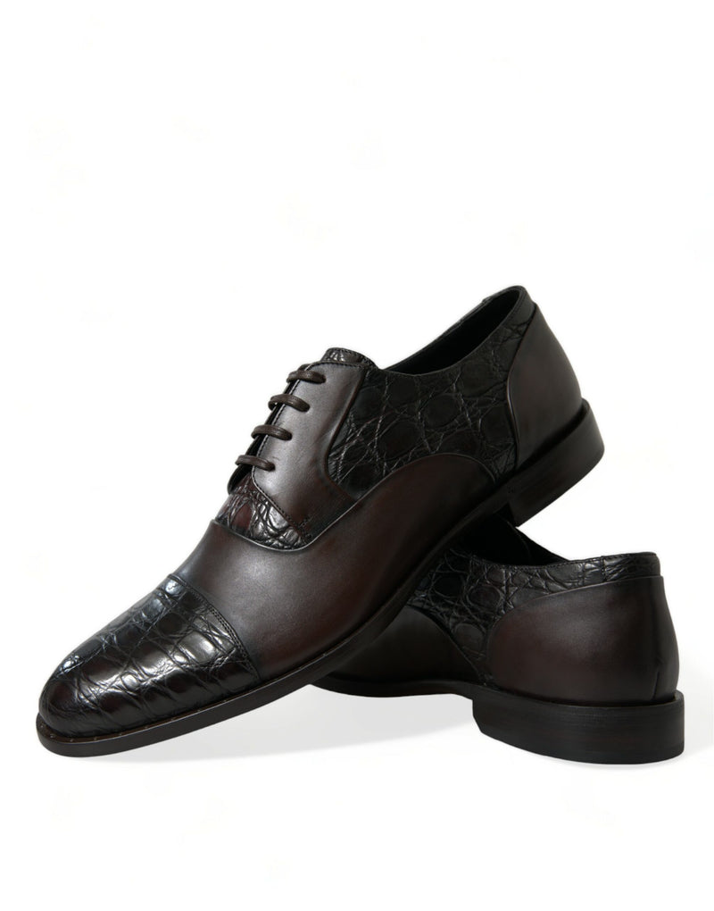 Brown Exotic Leather Formal Men Dress Shoes-Dolce & Gabbana-LabelTerrace.com