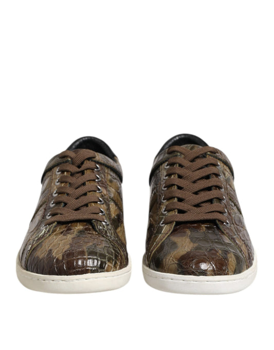Brown Exotic Leather Low Top Sneakers Shoes-Dolce & Gabbana-LabelTerrace.com