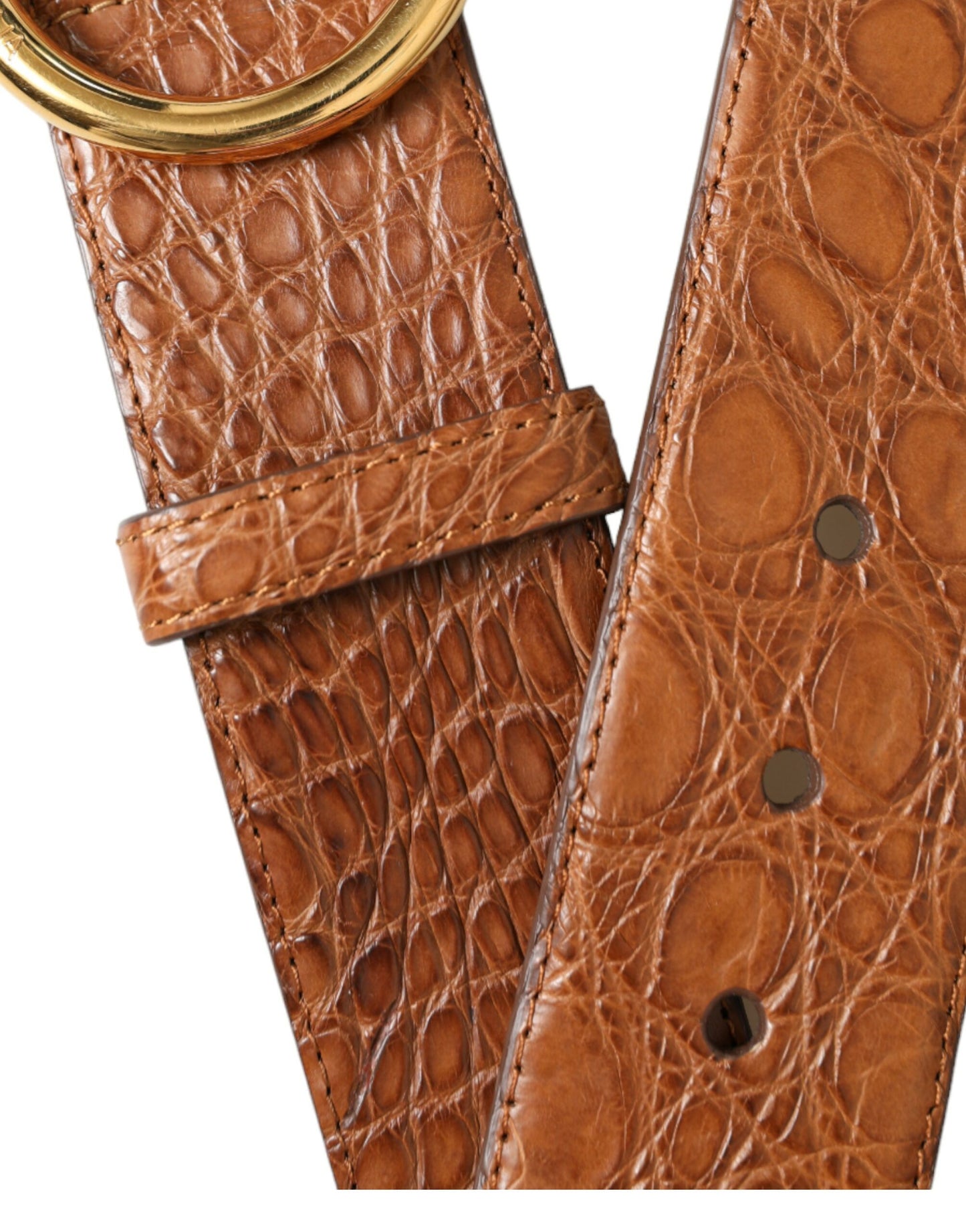 Brown Exotic Leather Round Buckle Belt-Dolce & Gabbana-LabelTerrace.com