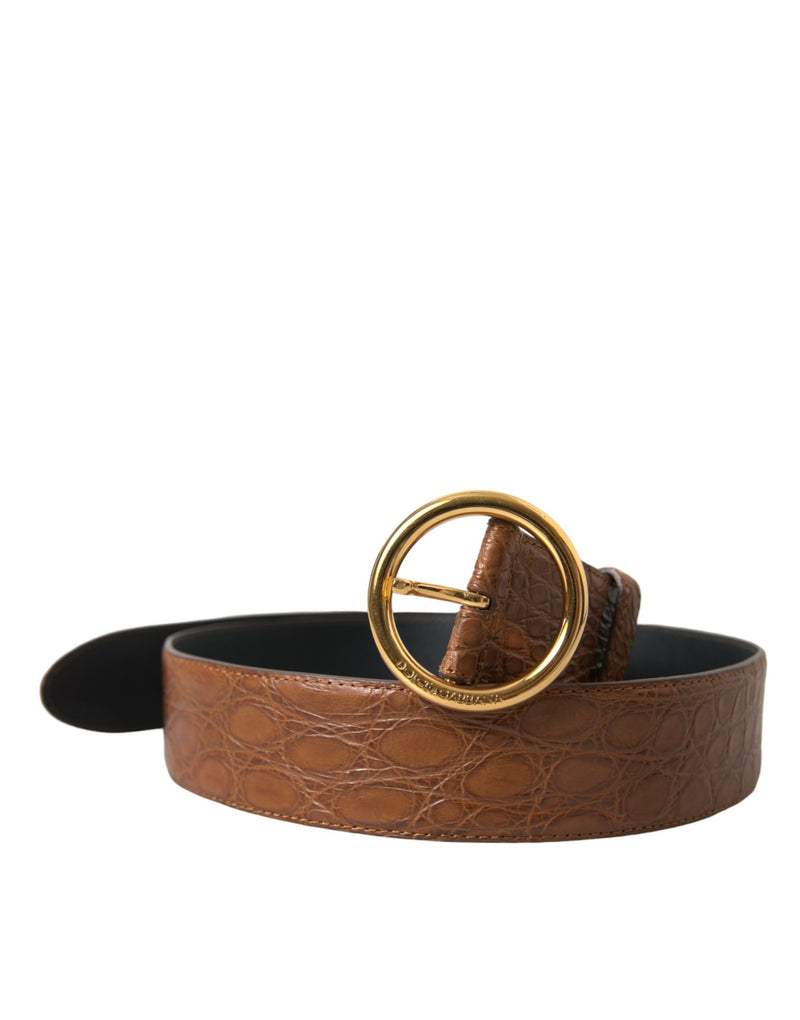 Brown Exotic Leather Round Buckle Belt-Dolce & Gabbana-LabelTerrace.com