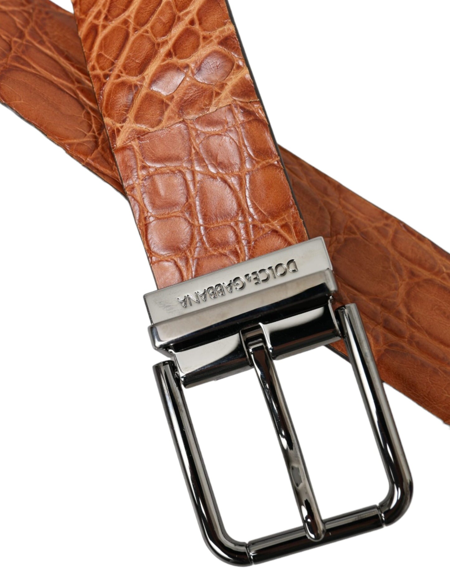 Brown Exotic Leather Silver Metal Buckle Belt-Dolce & Gabbana-LabelTerrace.com