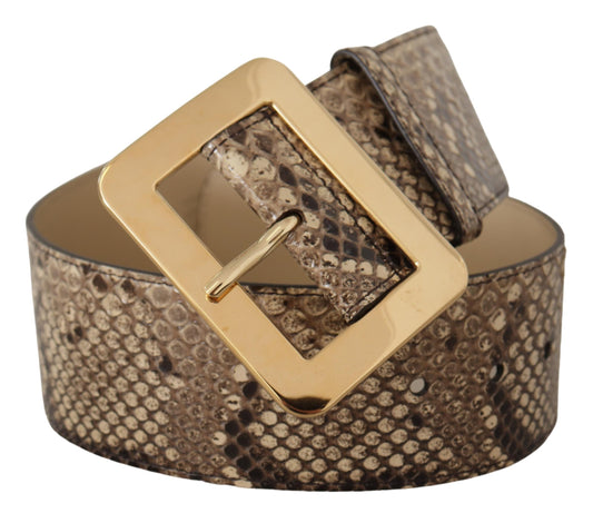 Brown Exotic Wide Waist Leather Gold Metal Buckle Belt-Dolce & Gabbana-LabelTerrace.com