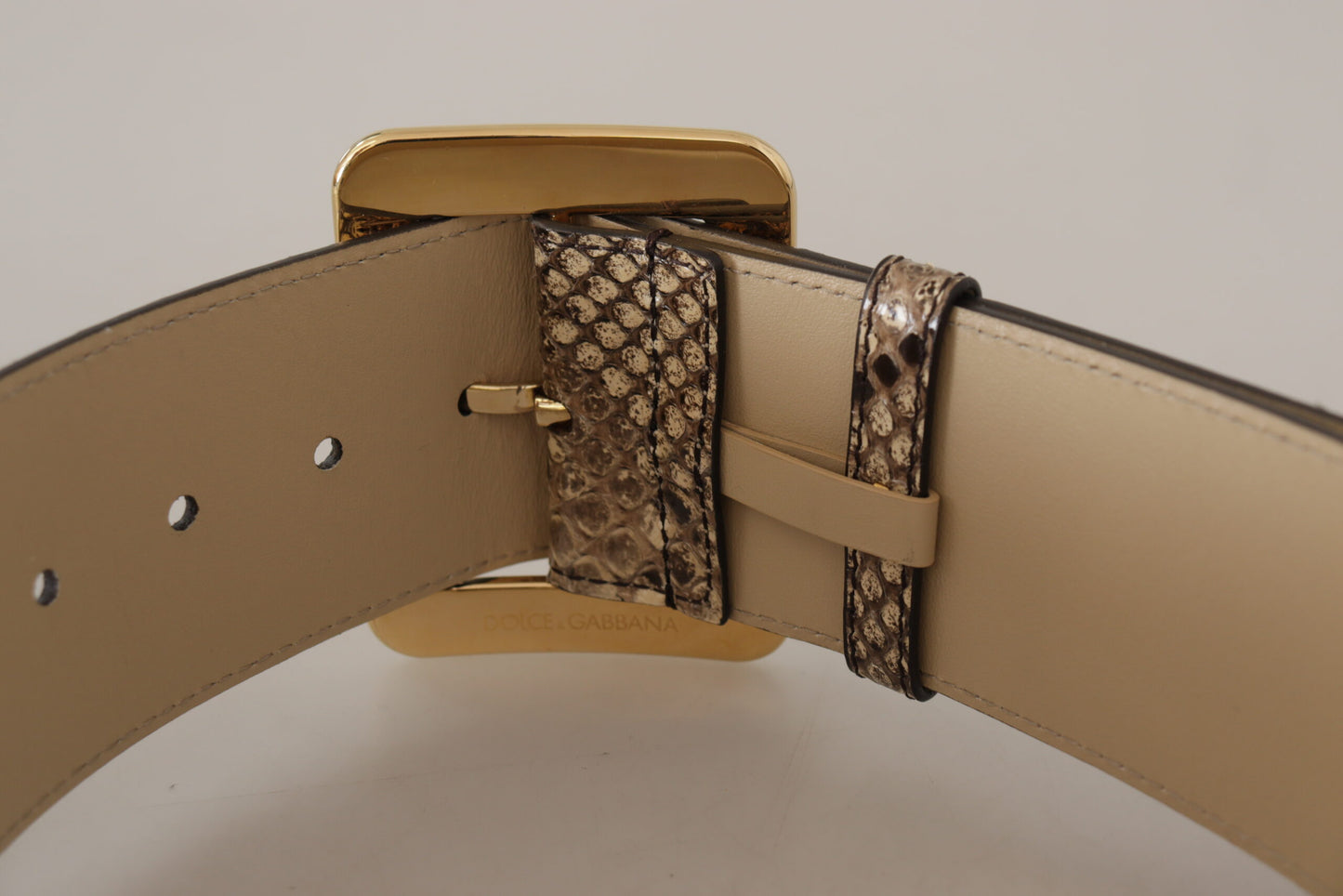 Brown Exotic Wide Waist Leather Gold Metal Buckle Belt-Dolce & Gabbana-LabelTerrace.com