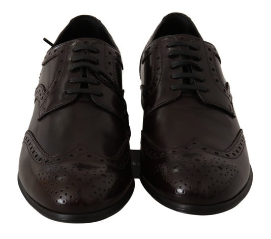 Brown Leather Broques Oxford Wingtip Shoes-Dolce & Gabbana-LabelTerrace.com