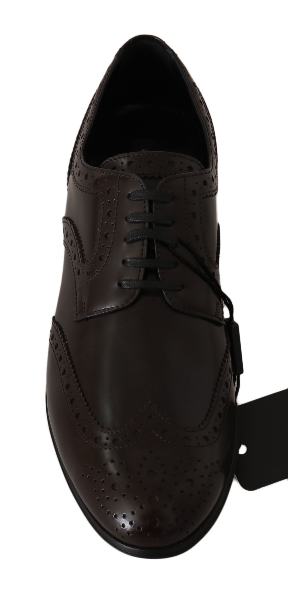 Brown Leather Broques Oxford Wingtip Shoes-Dolce & Gabbana-LabelTerrace.com