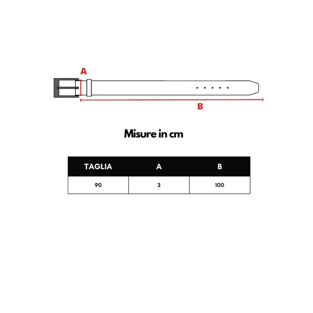 Brown Leather Belt-Dolce & Gabbana-LabelTerrace.com