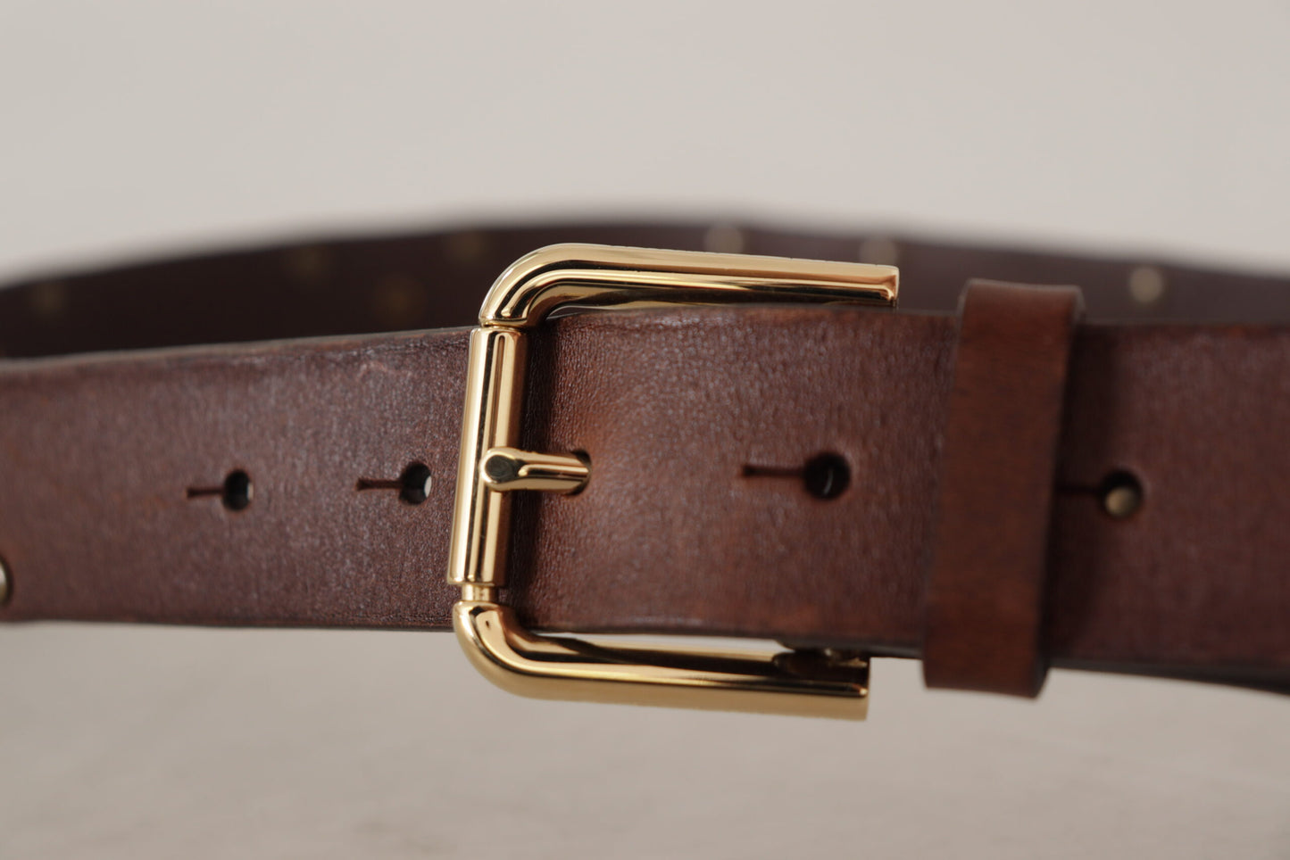 Brown Leather Studded Gold Tone Metal Buckle Belt-Dolce & Gabbana-LabelTerrace.com