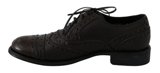 Brown Leather Wingtip Derby Formal Shoes-Dolce & Gabbana-LabelTerrace.com