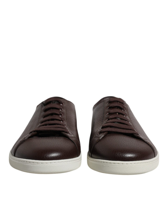 Brown Low Top Men Saint Tropez Sneakers Shoes-Dolce & Gabbana-LabelTerrace.com