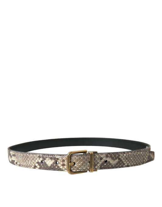 Brown Python Leather Gold Metal Buckle Belt-Dolce & Gabbana-LabelTerrace.com