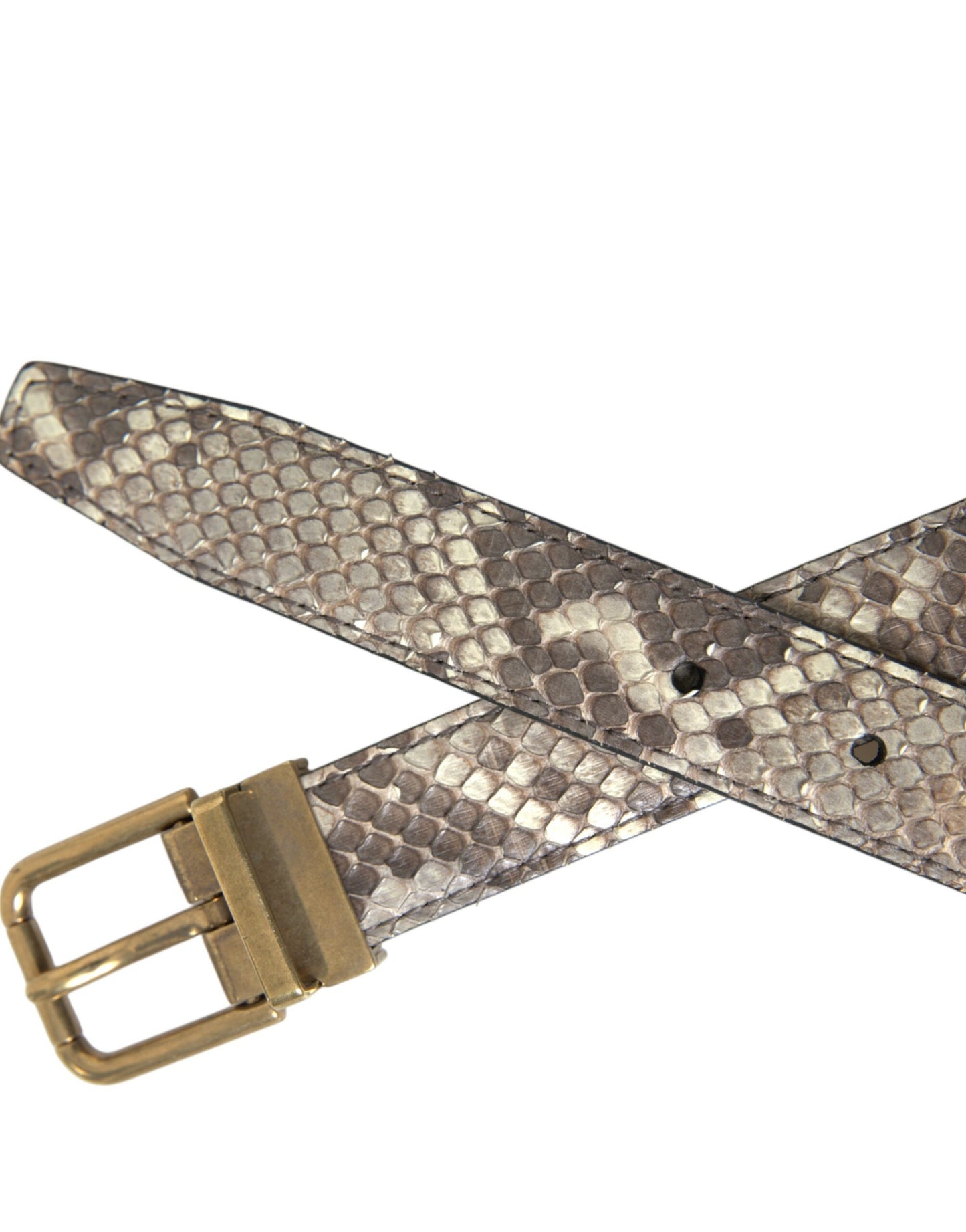 Brown Python Leather Gold Metal Buckle Belt-Dolce & Gabbana-LabelTerrace.com