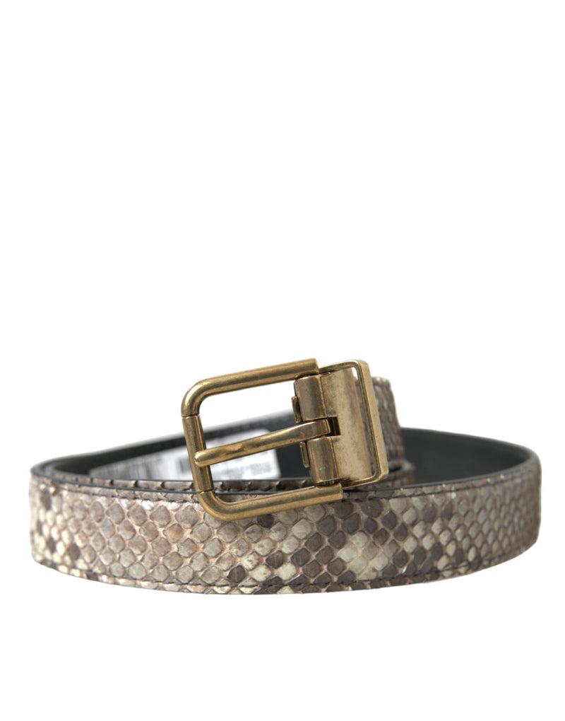 Brown Python Leather Gold Metal Buckle Belt-Dolce & Gabbana-LabelTerrace.com