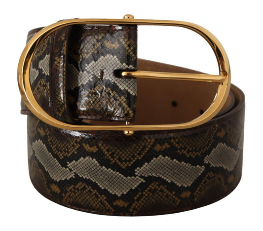 Brown Python Leather Gold Oval Buckle Belt-Dolce & Gabbana-LabelTerrace.com
