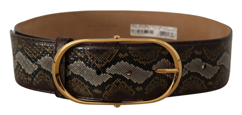 Brown Python Leather Gold Oval Buckle Belt-Dolce & Gabbana-LabelTerrace.com