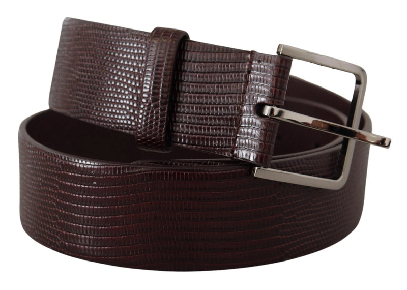 Dark Brown Calf Leather Silver Logo Metal Buckle Belt-Dolce & Gabbana-LabelTerrace.com