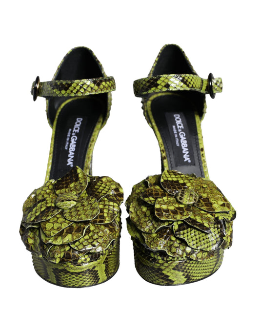 Green Exotic Leather Ankle Strap Heels Sandals Shoes-Dolce & Gabbana-LabelTerrace.com