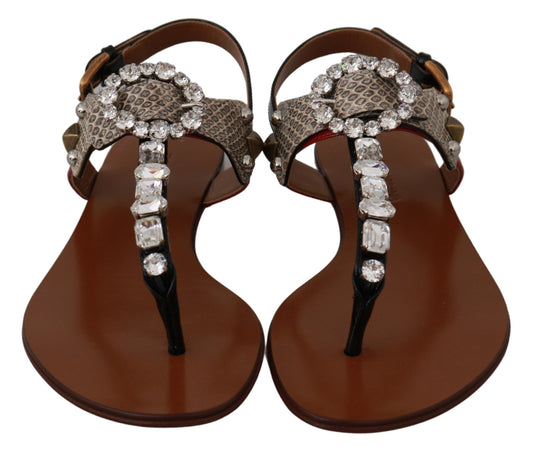 Leather Ayers Crystal Sandals Flip Flops Shoes-Dolce & Gabbana-LabelTerrace.com