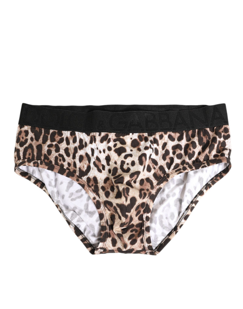 Leopard Print Black Waistband Cotton Underwear-Dolce & Gabbana-LabelTerrace.com