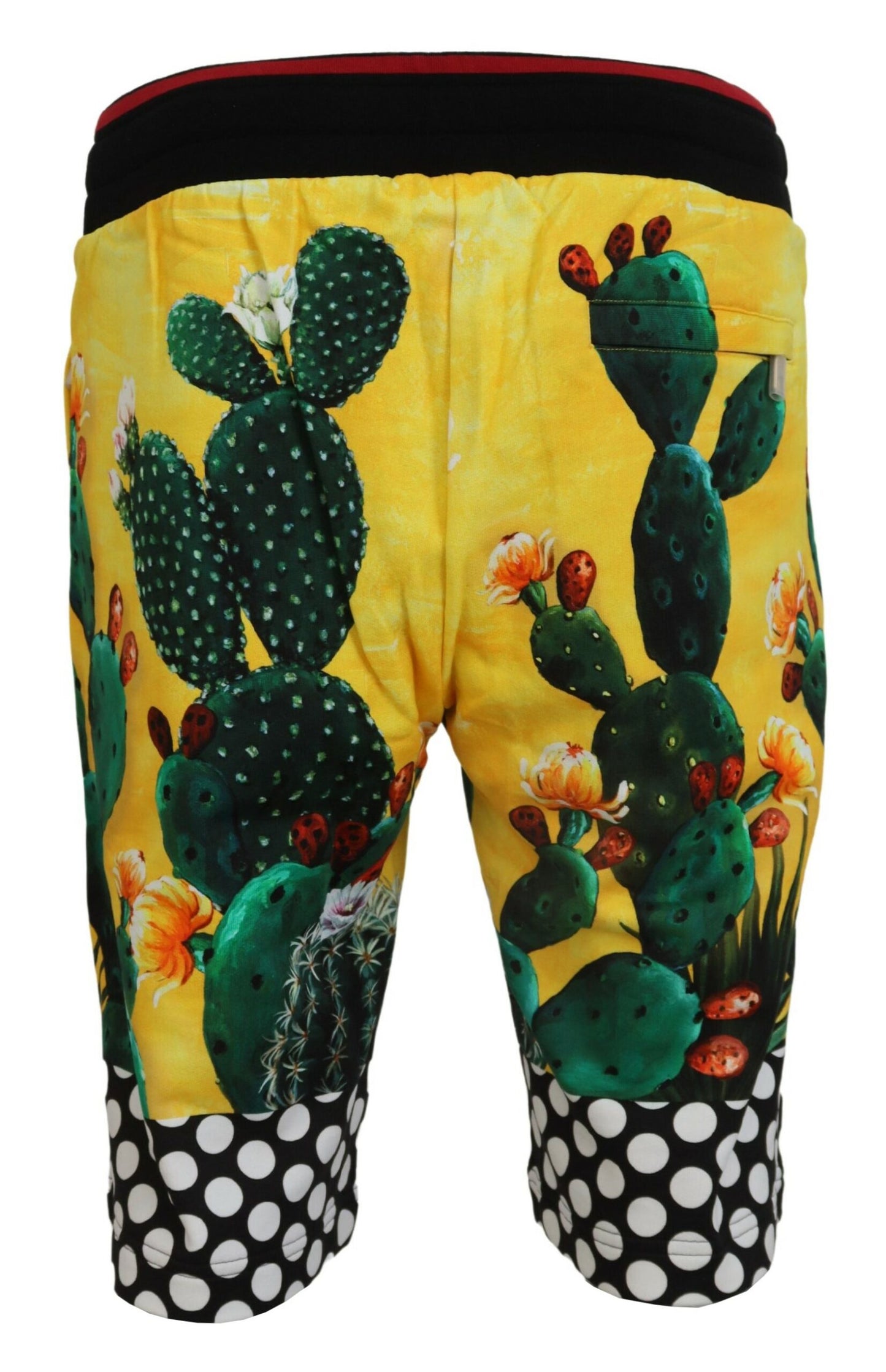 Multicolor Cactus Print Cotton Sweat Shorts-Dolce & Gabbana-LabelTerrace.com