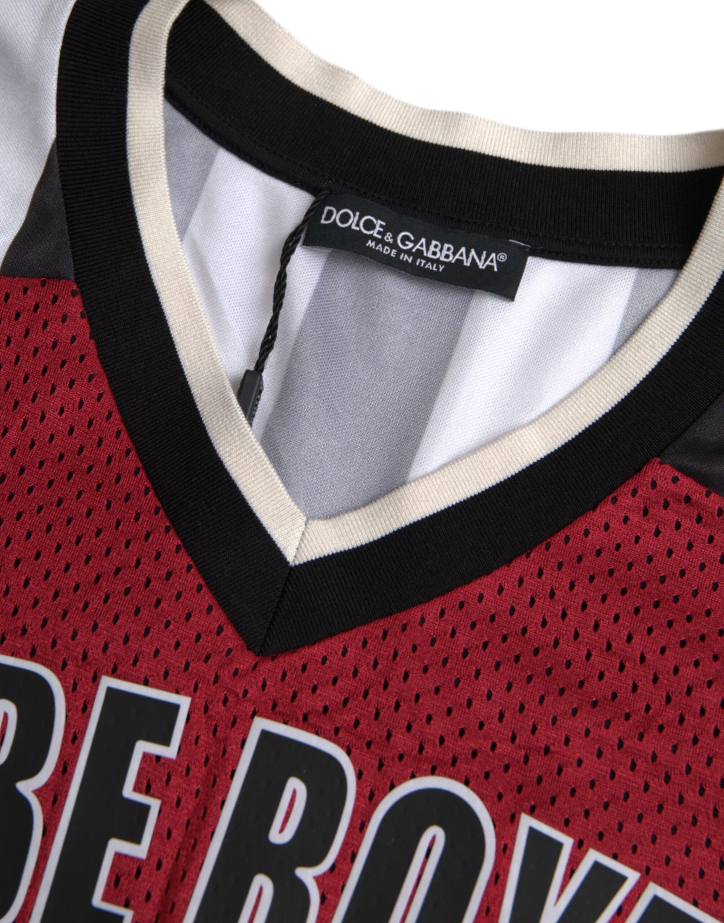 Multicolor Royals Panda Oversized T-shirt-Dolce & Gabbana-LabelTerrace.com