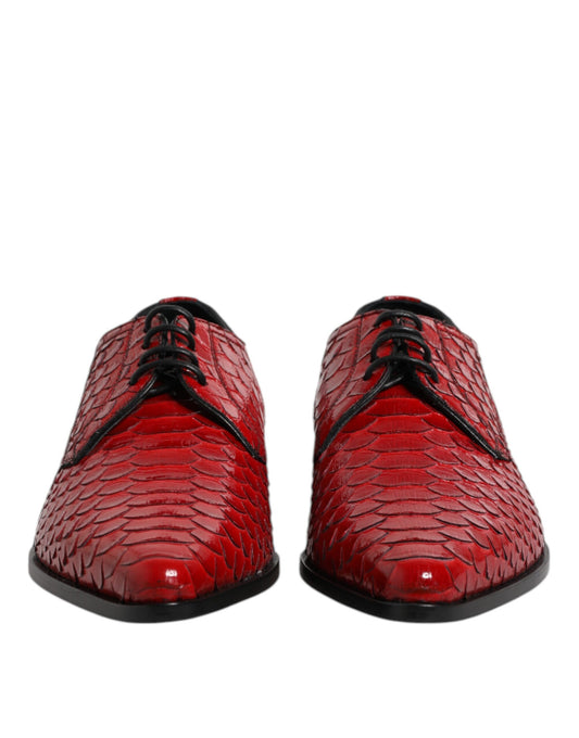 Red Exotic Leather Lace Up Dress Derby Shoes-Dolce & Gabbana-LabelTerrace.com