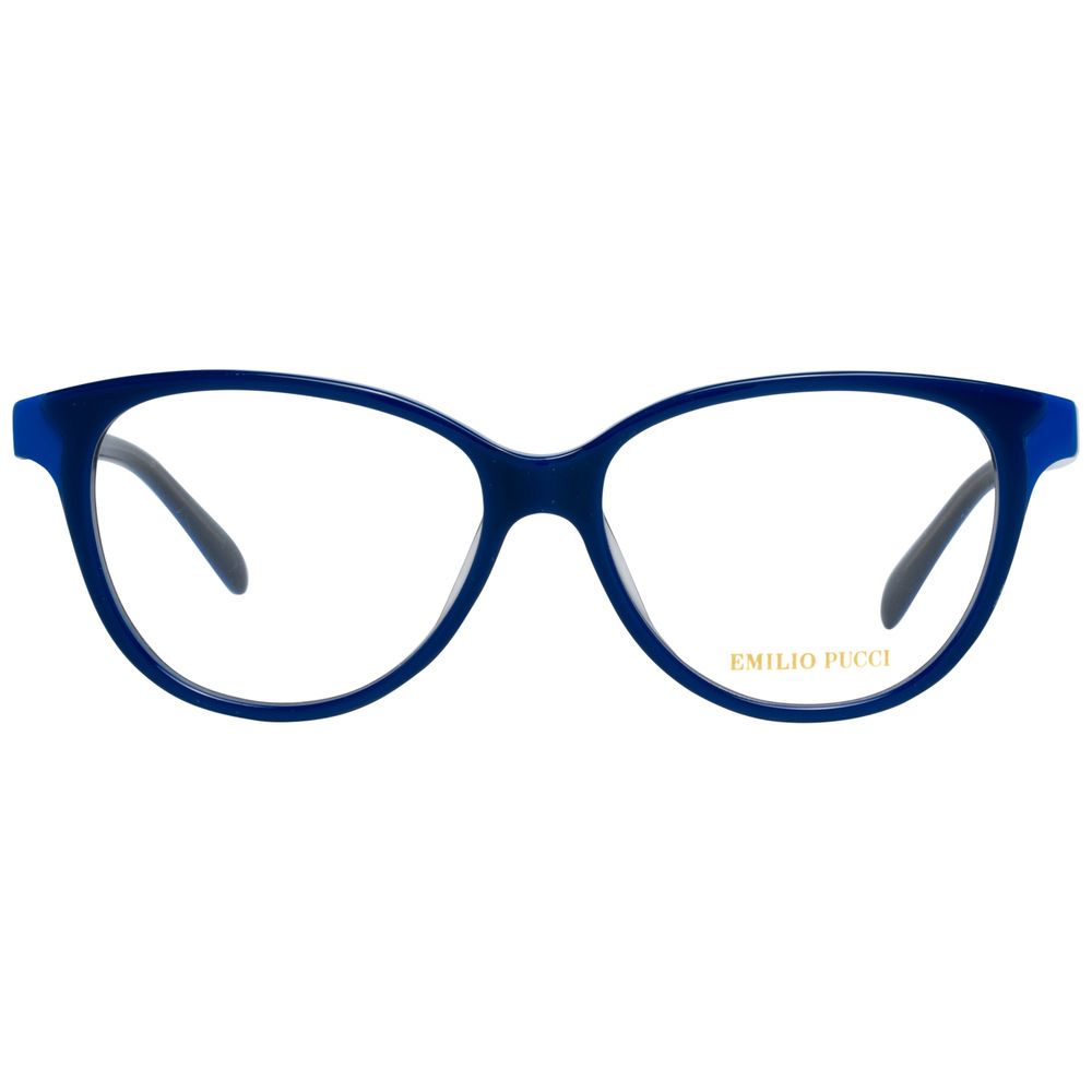 Blue Plastic Glasses (Frames)