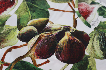 بلوزة قطنية بياقة دائرية وقميص فواكه