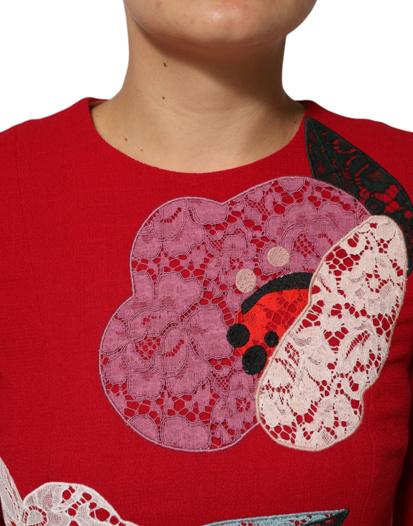 Red Lace Floral Applique A-line Mini Dress