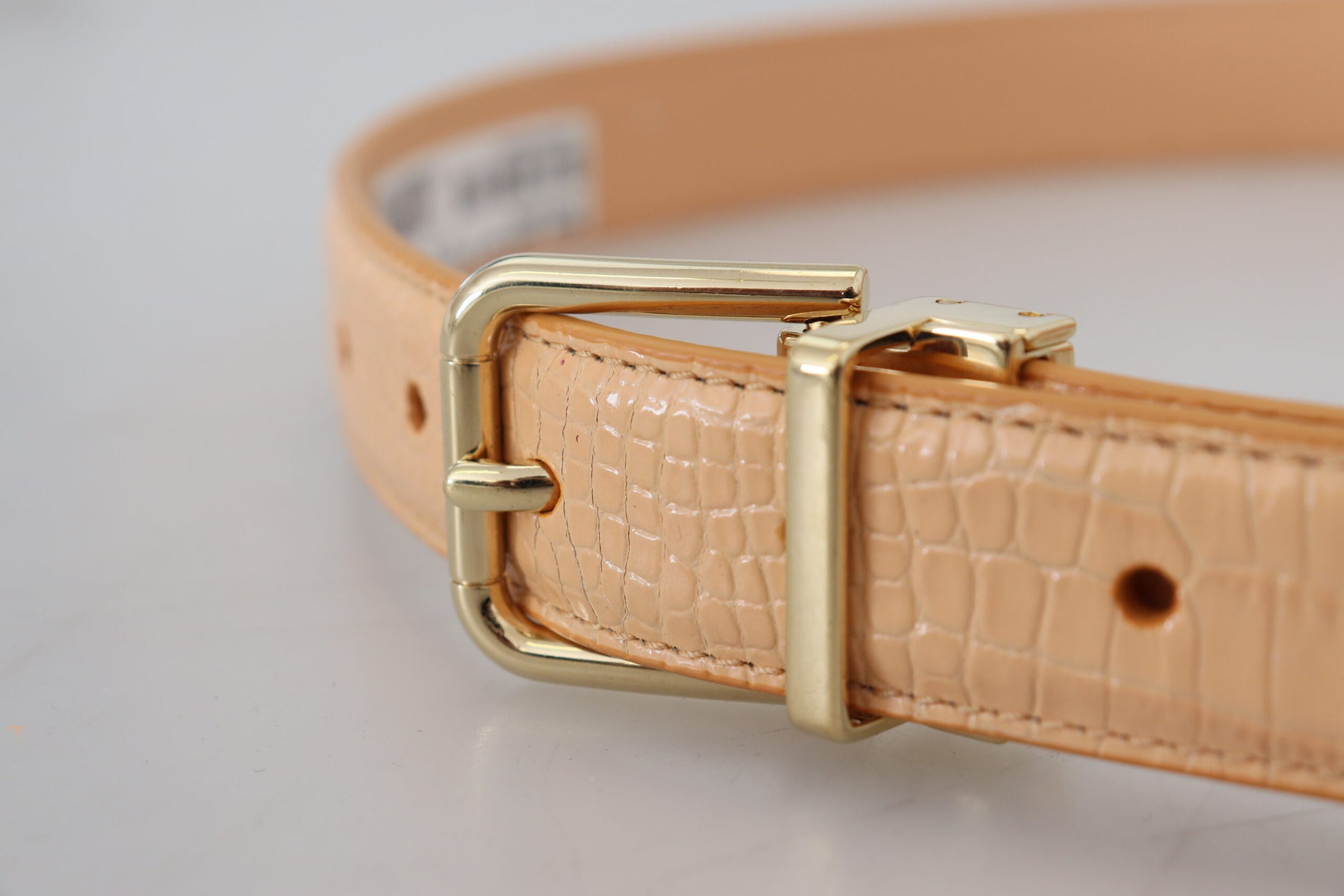 Beige Exotic Leather Gold Metal Buckle Belt-Dolce & Gabbana-LabelTerrace.com