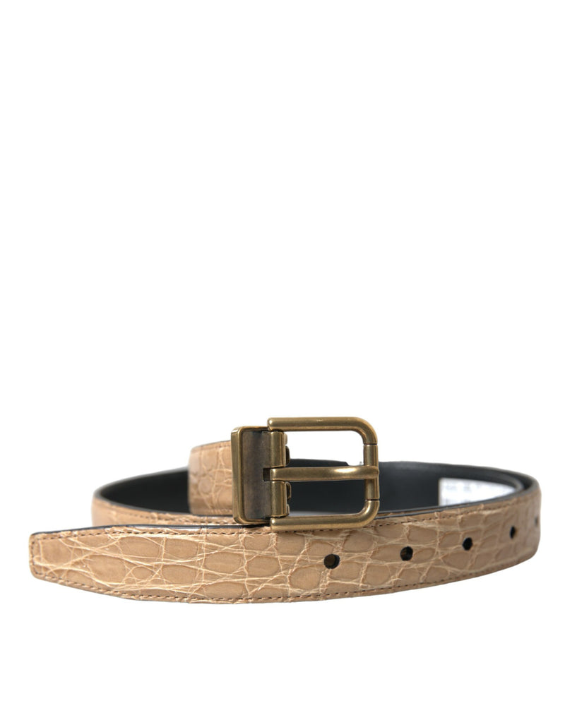 Beige Exotic Leather Gold Metal Buckle Belt-Dolce & Gabbana-LabelTerrace.com