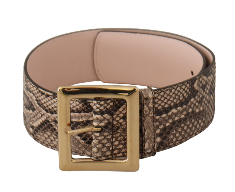Beige Exotic Leather Wide Gold Metal Buckle Belt-Dolce & Gabbana-LabelTerrace.com