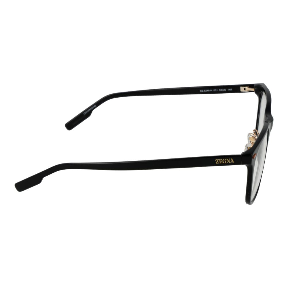 Black Acetate Glasses (Frames)