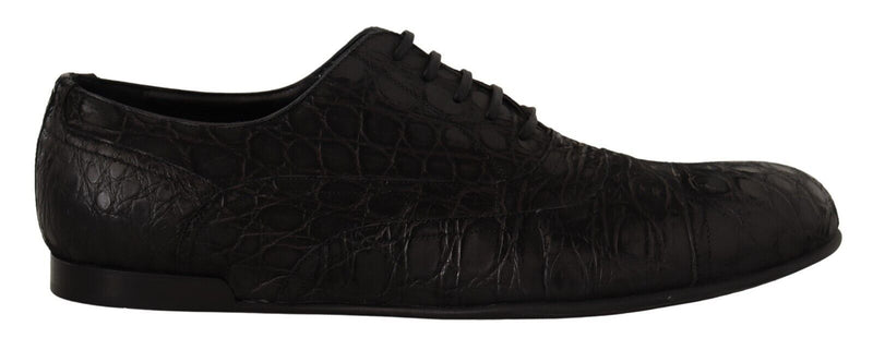 Black Caiman Leather Mens Oxford Shoes-Dolce & Gabbana-LabelTerrace.com