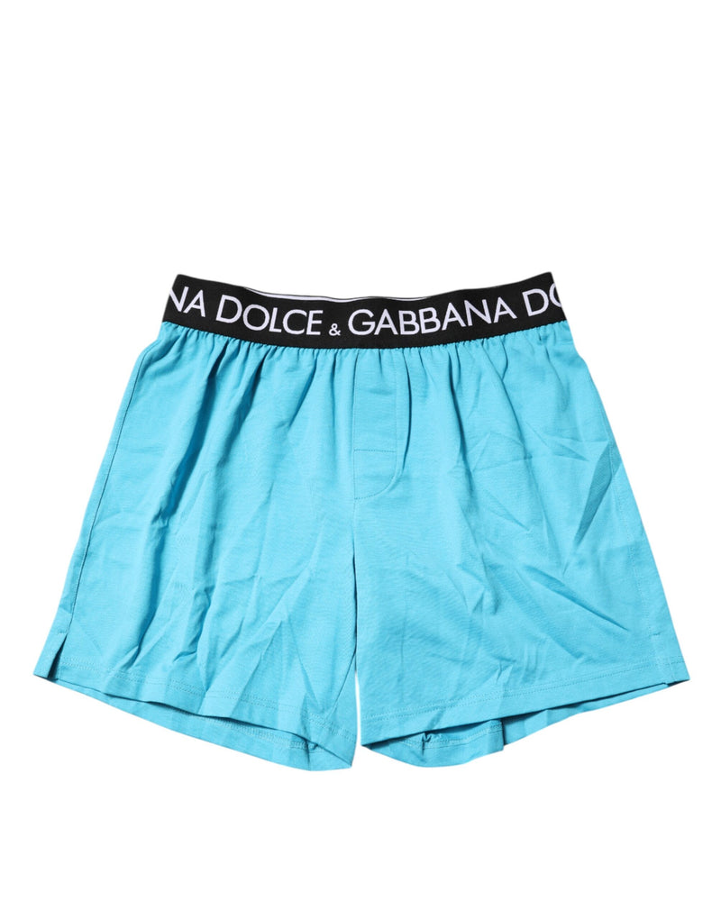 Blue Logo Waist Regular Boxer Shorts Underwear-Dolce & Gabbana-LabelTerrace.com