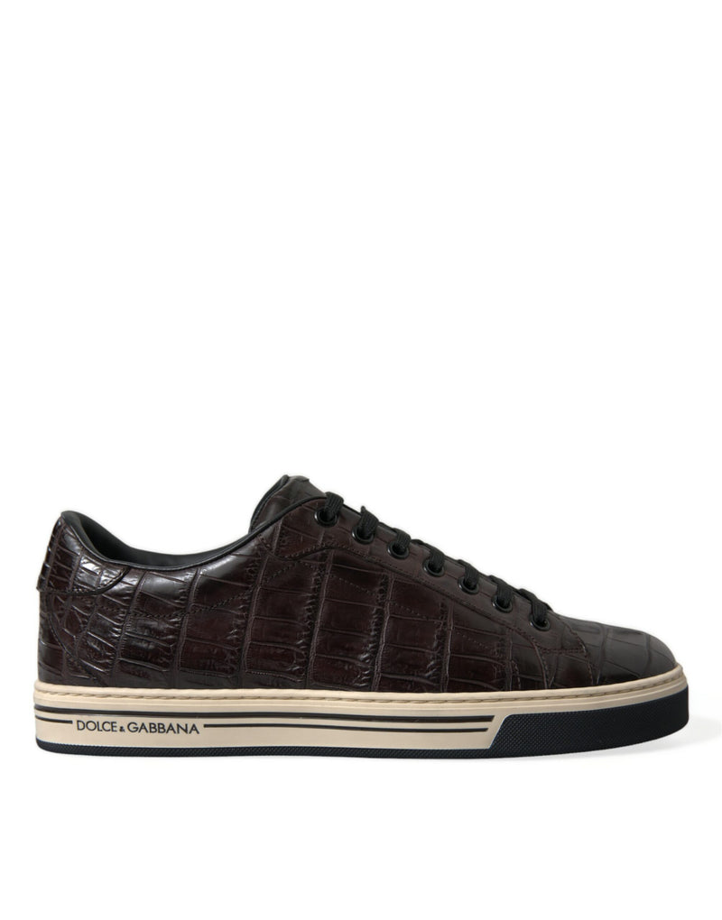Brown Croc Exotic Leather Men Casual Sneakers Shoes-Dolce & Gabbana-LabelTerrace.com