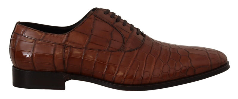 Brown Crocodile Leather Mens Formal Derby Shoes-Dolce & Gabbana-LabelTerrace.com