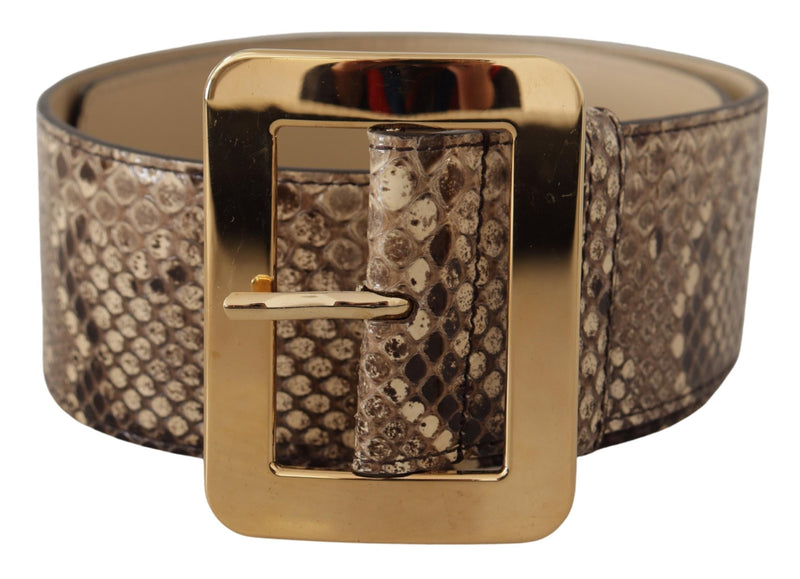 Brown Exotic Wide Waist Leather Gold Metal Buckle Belt-Dolce & Gabbana-LabelTerrace.com